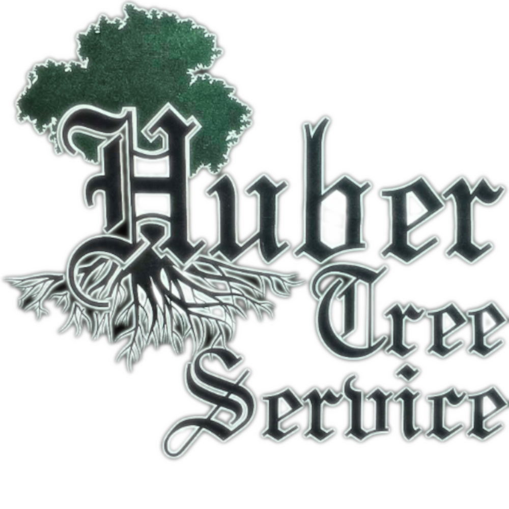 Huber Tree